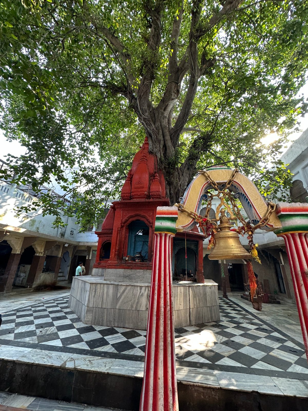 A hidden shrine beneath an ancient tree.